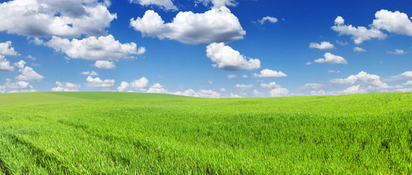 Similar image 1148472