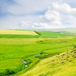 Similar image 1148479