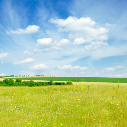 Similar image 1148496