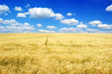 Similar image 1148499