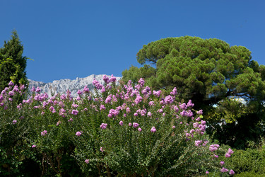 Similar image 1148522