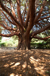 Similar image 1148523