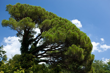 Similar image 1148524