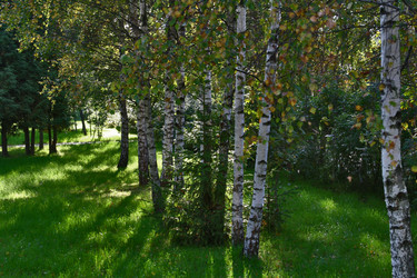 Similar image 1148533