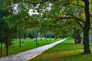 Similar image 1148534