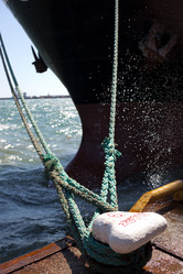 Similar image 1148540