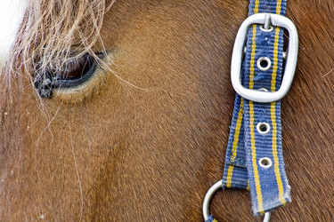 Similar image 1148559