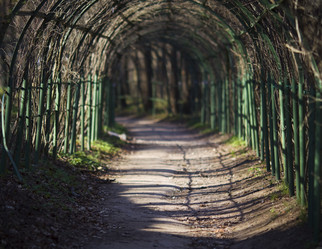 Similar image 1148560