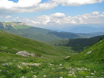 Similar image 1148562