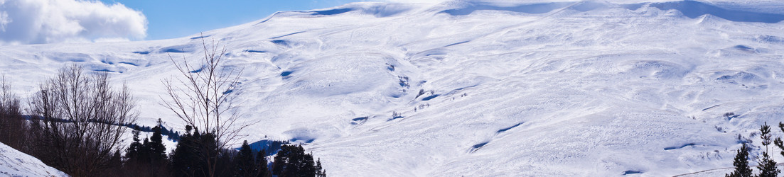 Similar image 1148564