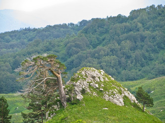 Similar image 1148570