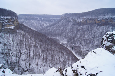 Similar image 1148571