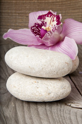 Similar image 1148573