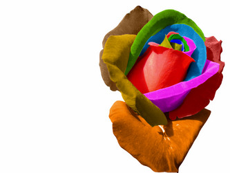 Similar image 1148591