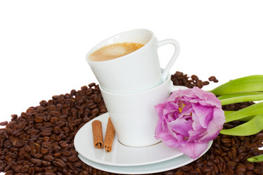 Similar image 1148638