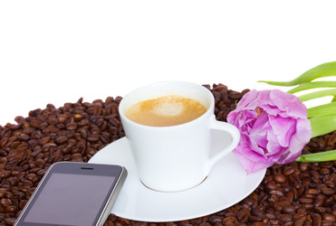 Similar image 1148639