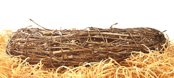 Similar image 1148653