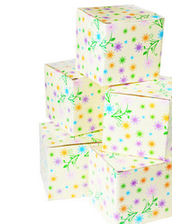 Similar image 1148679