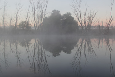 Similar image 1148714