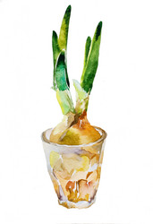 Similar image 1148718