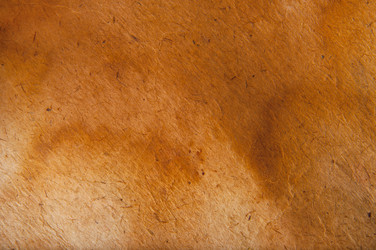 Similar image 1148721