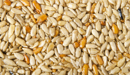 Similar image 1148738