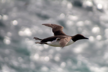 Similar image 1148804