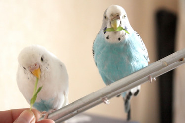 Similar image 1148830