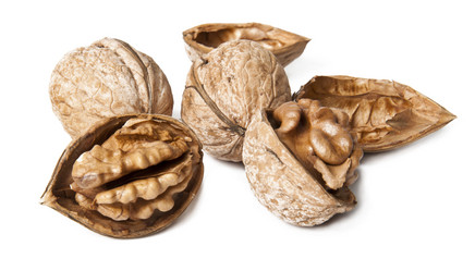 Similar image 1148842