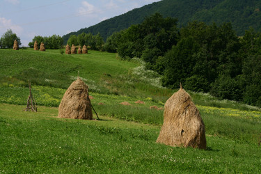 Similar image 1148867