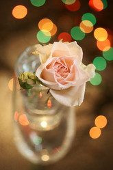 Similar image 1148929