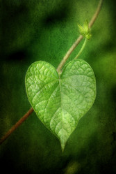 Similar image 1148930