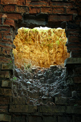 Similar image 1148932