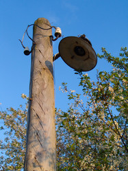 Similar image 1148934