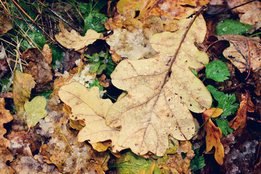 Similar image 1148935