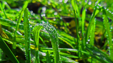 Similar image 1148946