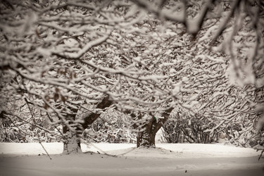 Similar image 1148969