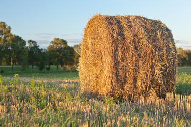 Similar image 1148970