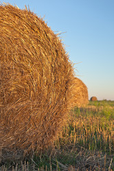 Similar image 1148972