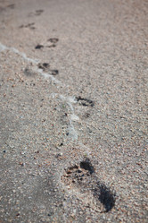 Similar image 1148973