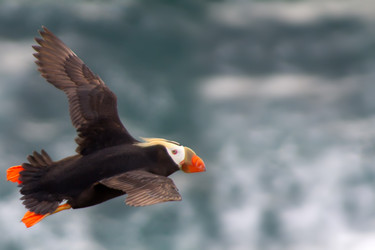 Similar image 1149038