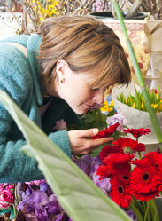 Similar image 1149179