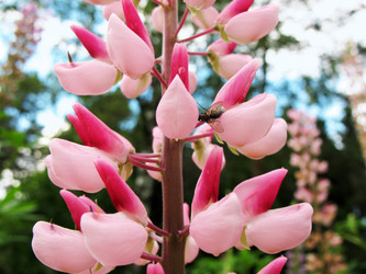 Similar image 1149265