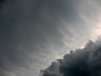 Similar image 1149266