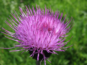 Similar image 1149267