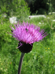 Similar image 1149269