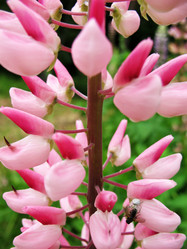 Similar image 1149273