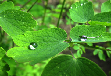 Similar image 1149274