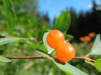 Similar image 1149275