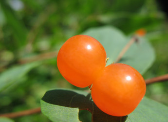 Similar image 1149277